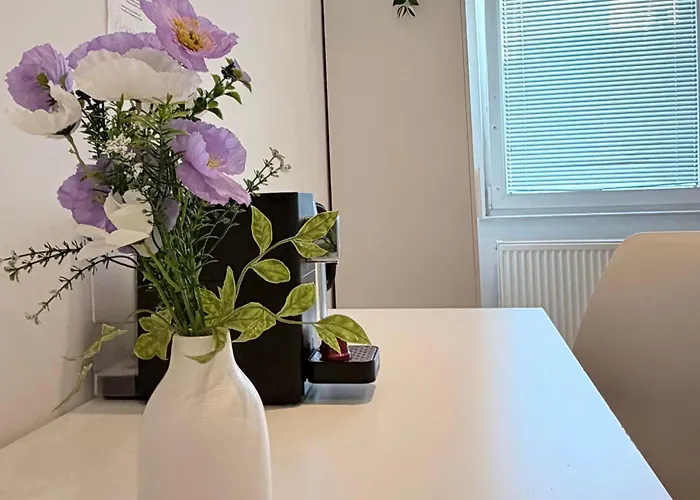 Apartman Shiyue Bécs